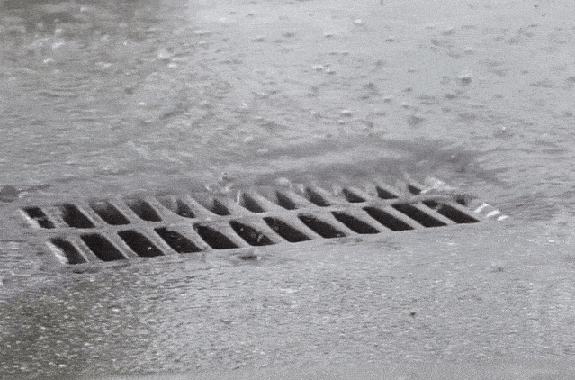 Storm drain grate set into a paved surface